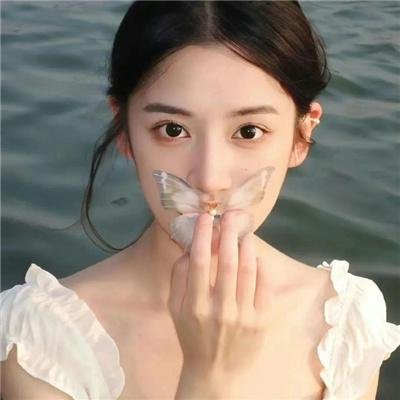 网中的太阳